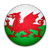 Welsh Leagues