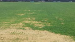 Slough Town pitch