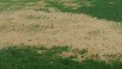 Slough Town pitch