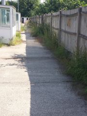 weeds behind dugouts