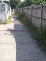 weeds behind dugouts