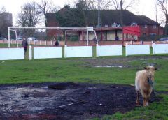 5th Jan 2008 Wednesfield 1 Darlaston Town 1