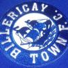 Billericay Town Unofficial